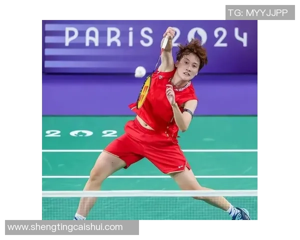 武汉羽毛球队与北京羽毛球队赛后复盘分析团队配合与战术执行的关键因素